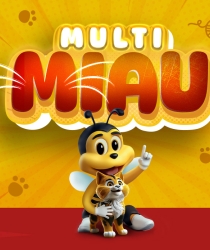 Multi Miau: Participe desta ação especial para o Dia do Gato!